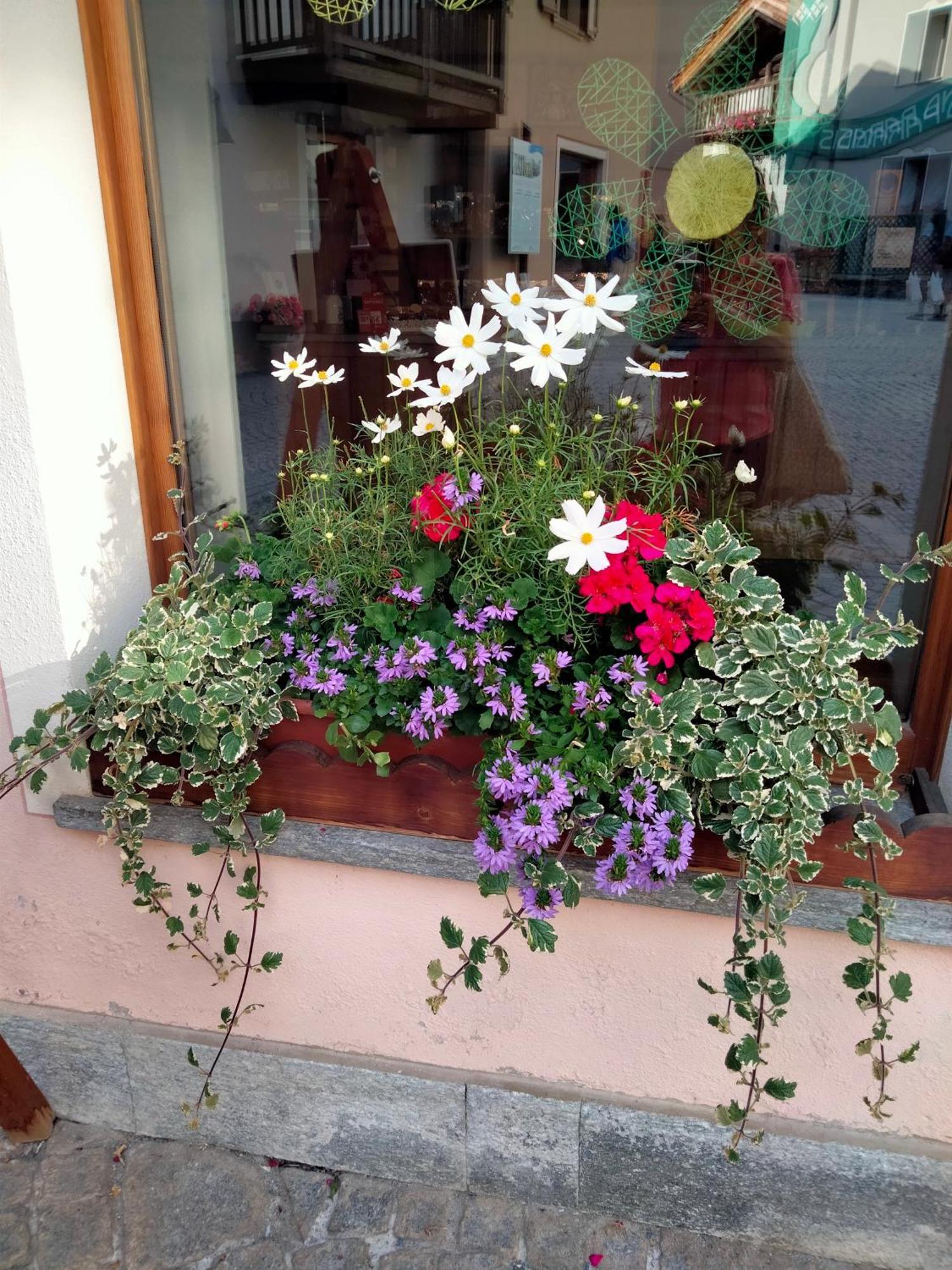 Appartamento Signorile Con Giardino Aosta Exterior foto